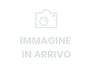 RENAULT Captur 1.0 eco-g evolution 100cv